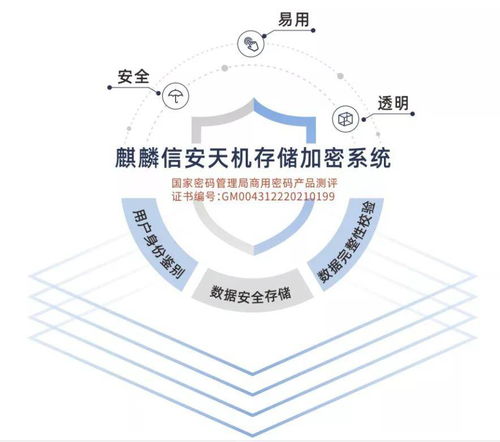 麒麟信安天机存储加密系统 国家密码管理局商用密码认证产品