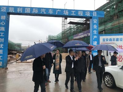 行业新风景,吉安新名片--迈凯利汽车广场获全国表彰