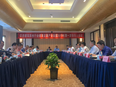 协会召开2019年第一次联盟(WG16)领导人暨会长工作会议