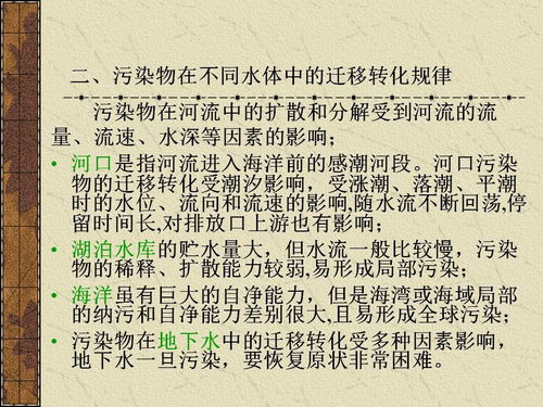 水污染控制工程 污染物在水体环境中的迁移与转化